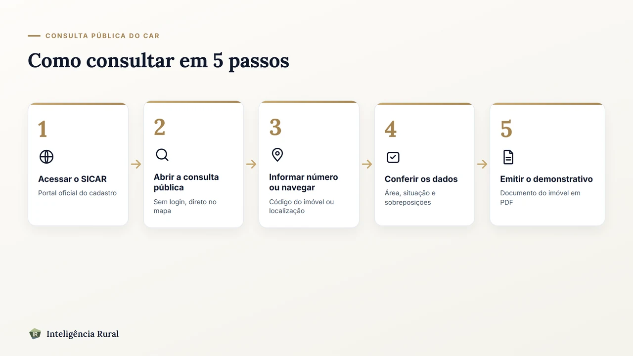 Infográfico com os 5 passos da consulta pública no SICAR: acessar o portal, escolher número ou mapa, filtrar por estado e município, conferir os dados do imóvel e emitir o demonstrativo