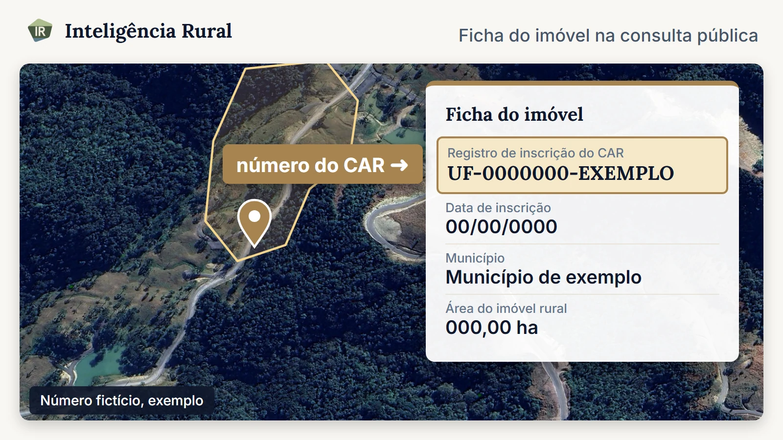 Polígono de um imóvel sobre imagem de satélite com a ficha pública ao lado e uma seta apontando para o campo do número do CAR, com número fictício