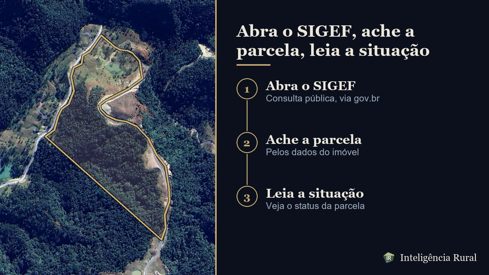 Fluxo em três passos sobre um recorte de satélite com o polígono de um imóvel: abrir o SIGEF, achar a parcela pelos dados do imóvel, ler a situação.